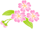 w߂łƂI