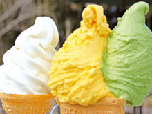 成田ゆめ牧場のアイスクリーム
